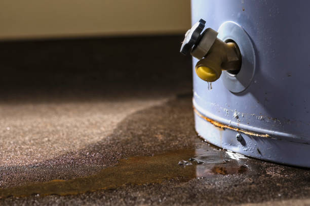 Best Local water damage restoration  in Cannon Falls, MN