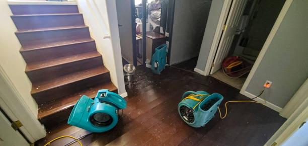 Best Water damage restoration near me  in Cannon Falls, MN
