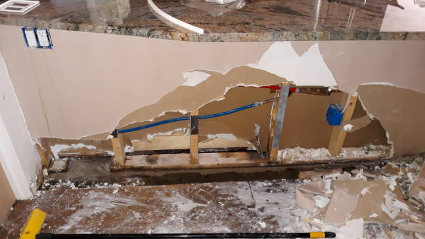 Best Commercial water damage restoration  in Cannon Falls, MN