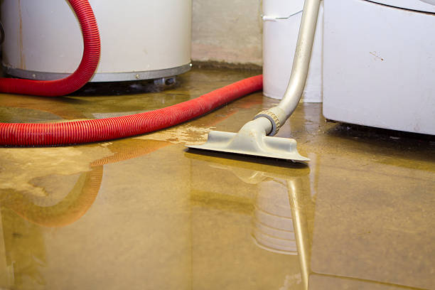  Cannon Falls, MN Water damage restoration Pros