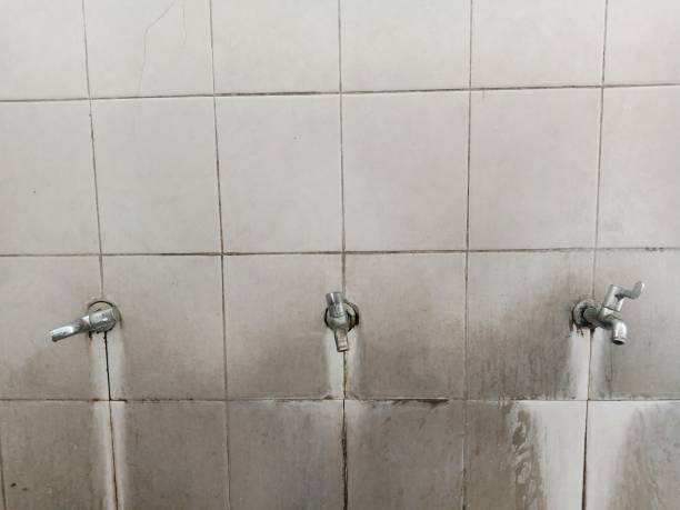 Best Emergency water damage restoration  in Cannon Falls, MN