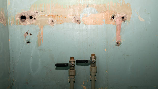 Best Residential water damage restoration  in Cannon Falls, MN