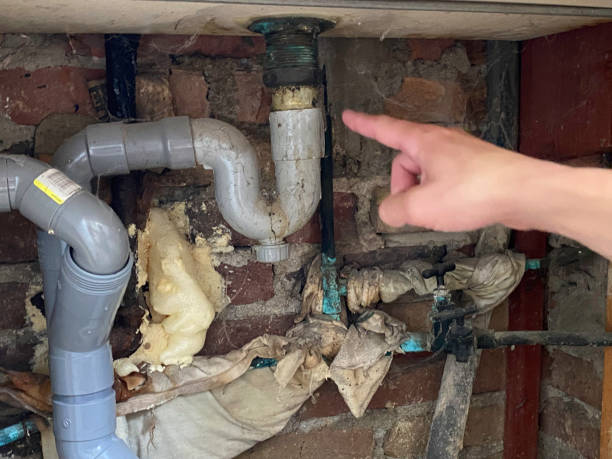 Best Water damage restoration near me  in Cannon Falls, MN